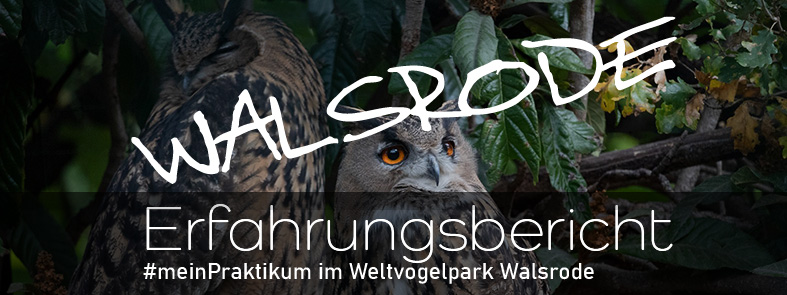 WALSRODE_Webseite